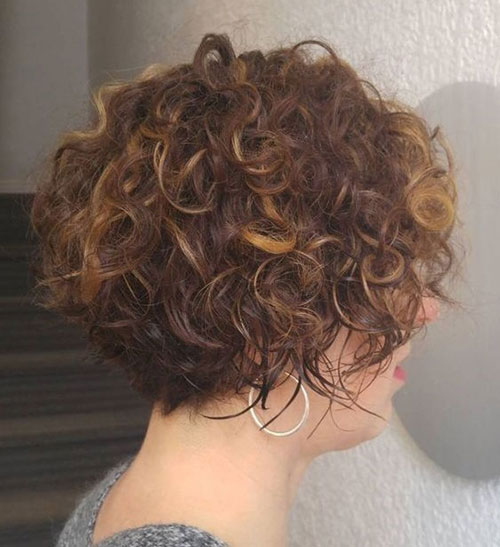 Short Natural Curly Hairstyle